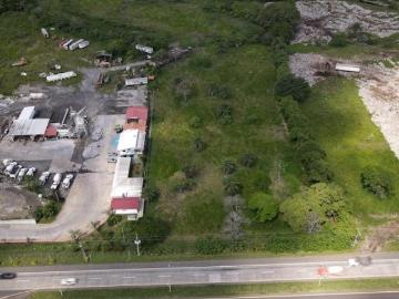 Finca de 2 hectáreas con frente a la Vía Panamericana, San Pablo Viejo, David