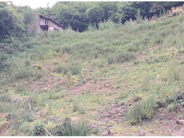 FINCA DE 30.000M2 CON CASA Y CUADRAS