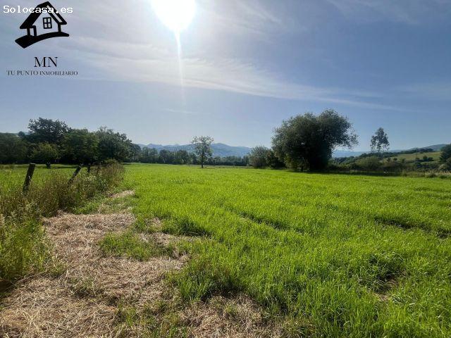 Finca de 3.849 m2 con todos los servicios: ideal para una gran mansión o un proyecto de 2 chalets en