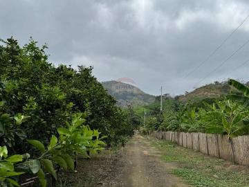 Finca de venta via portoviejo santa ana
