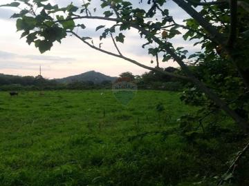 Finca De Venta En Santa Ana Manabi