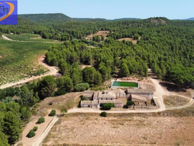 EN VENTA FINCA DE VIÑEDOS EN COFRENTES DE 209 HECTAREAS