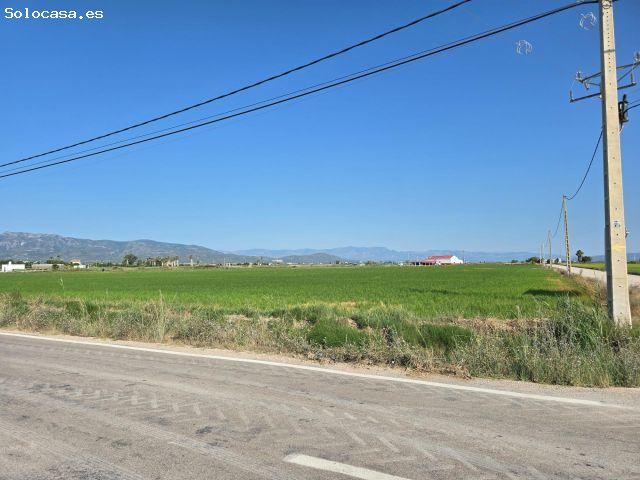 FINCA DE ARROZ EN LENCANYISSADA