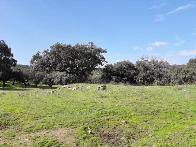 Finca de Dehesa en Fuente Obejuna