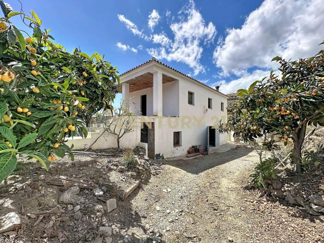 FINCA DE MANGOS Y AGUACATES EN EL TRAPICHE – VÉLEZ MÁLAGA