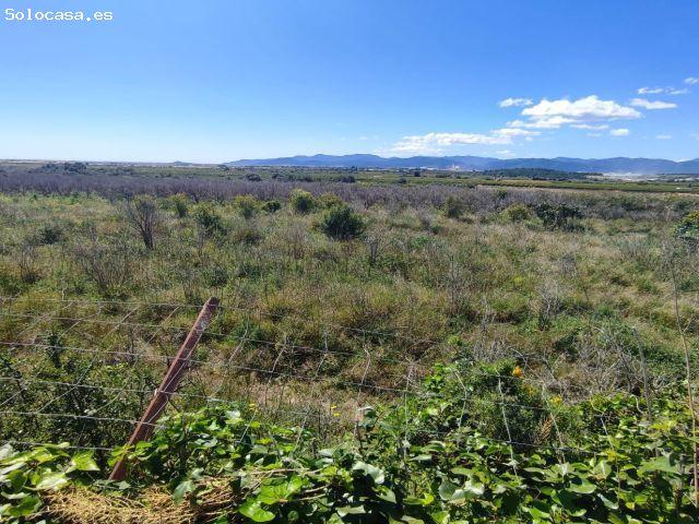 FINCA DE NARANJOS