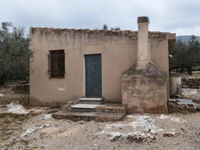 FINCA DE OLIVOS