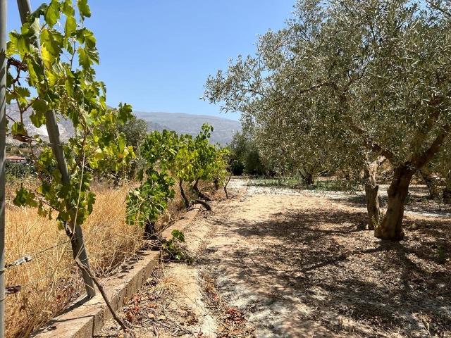 Finca de Recreo en Cozvijar