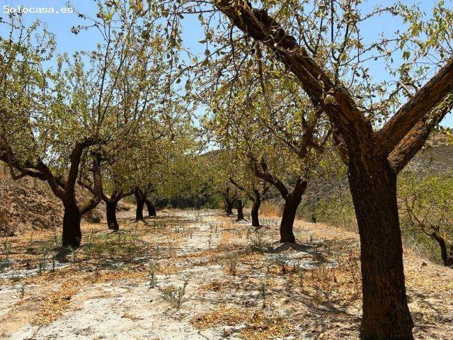 Finca de Recreo en Cozvijar