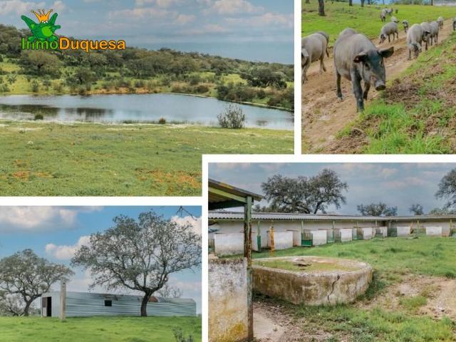 Finca de recreo en Huelva junto a Portugal