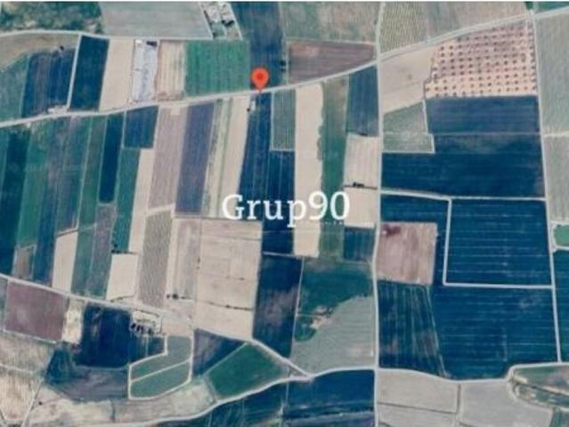 Finca de regadío con almacenes en venta en Alcoletge