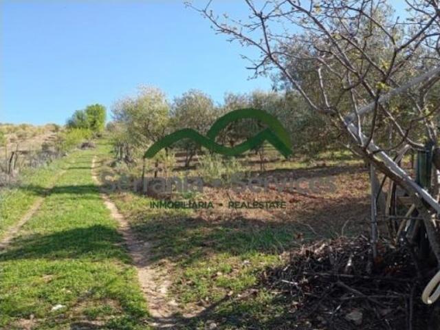 Finca de Secano con 300 Olivos, Huerto y Casita de aperos