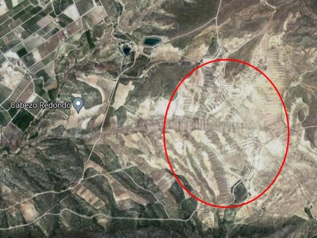 FINCA DE SECANO EN VENTA EN CIEZA