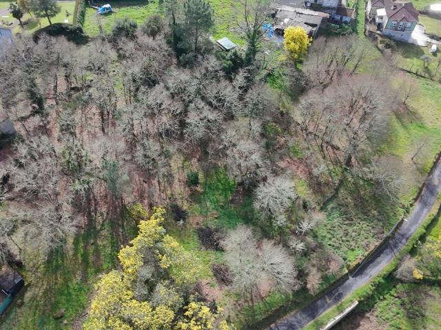 FINCA EDIFCABLE EN BENTRACES