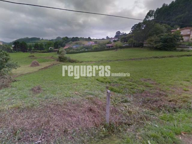 Finca edificable Castrillon