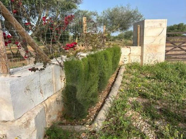 FINCA EDIFICABLE EN SON PIERES