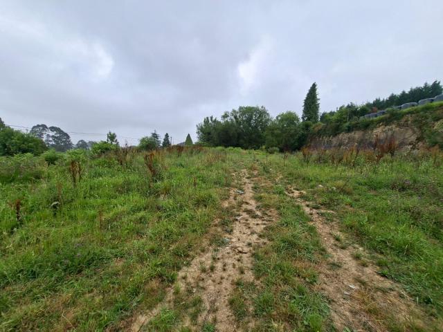FINCA EDIFICABLE 3.800 m2 CON PROYECTO | SAN ESTEBAN DE LAS CRUCES, OVIEDO