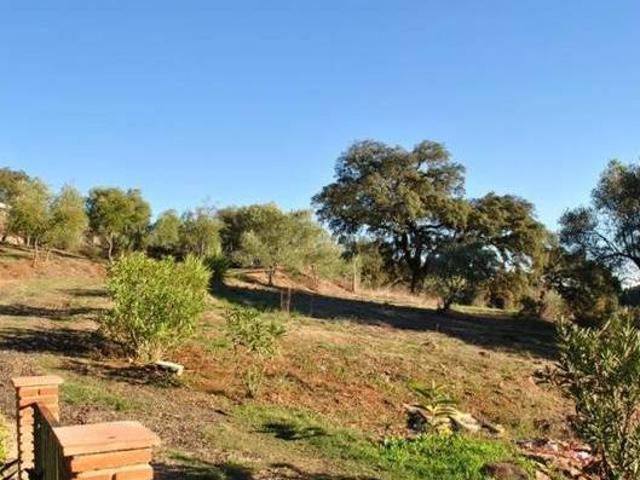 Finca el Venero Santa Ana La Real Huelva