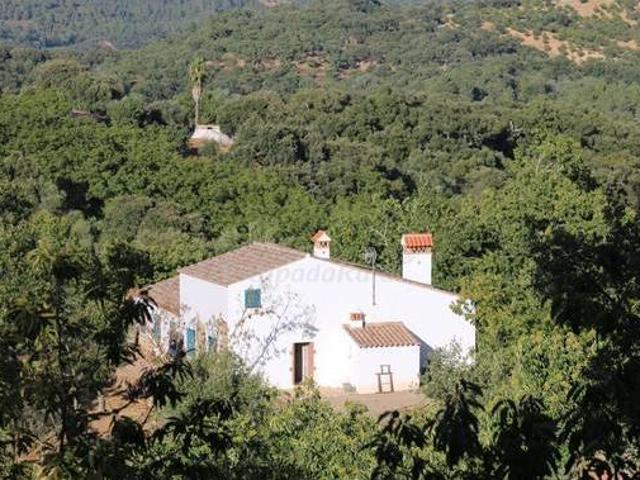 Finca El Castillo