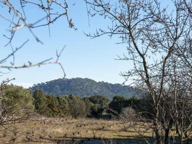 Finca el Palomar de la Viña San Martin De Valdeiglesias Madrid
