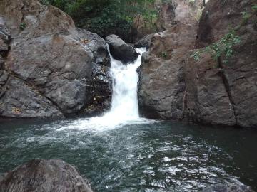 Finca en Venta – 282 Hectáreas Colindantes con el Parque Nacional Cerro Hoya, Veraguas, Panamá