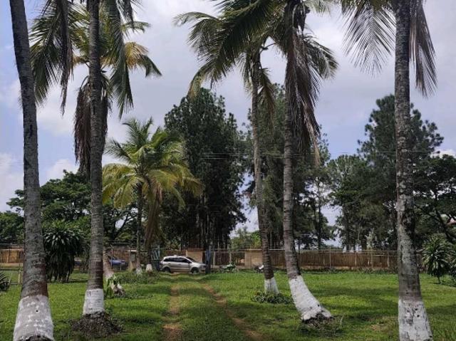 Finca en Venta, Barrera, Sabana del Medio