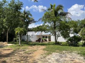 Finca en Venta de 103 Ha. con Apiario y Vivero en Tecoh