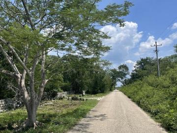 Finca en Venta de 103 Ha. con Apiario y Vivero en Tecoh
