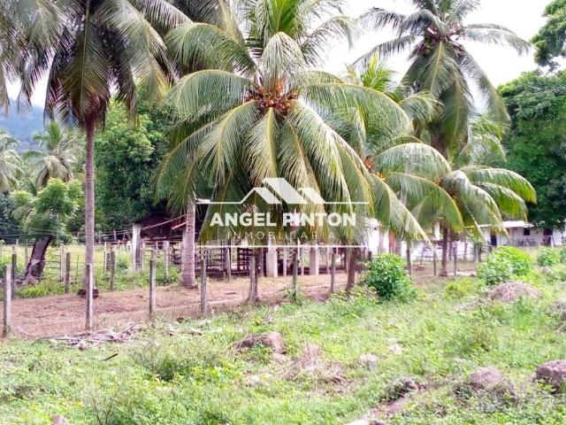 Finca en Venta en Trujillo Trujillo