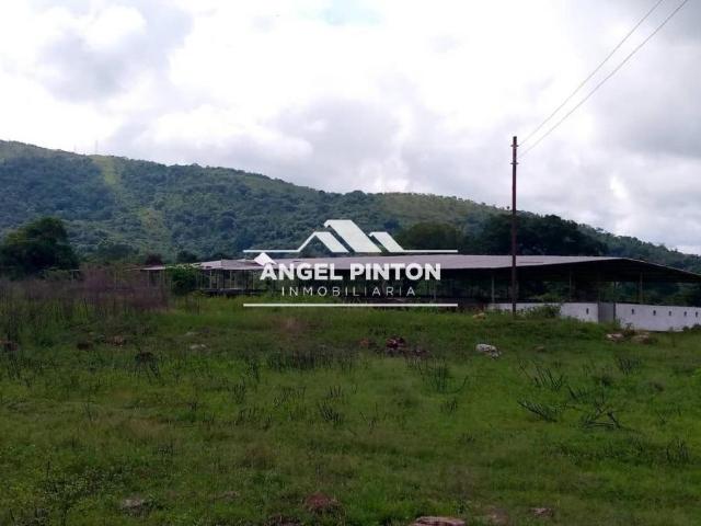 Finca en Venta en Trujillo Trujillo