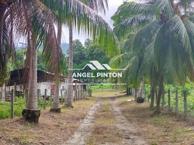Finca en Venta en Trujillo Trujillo