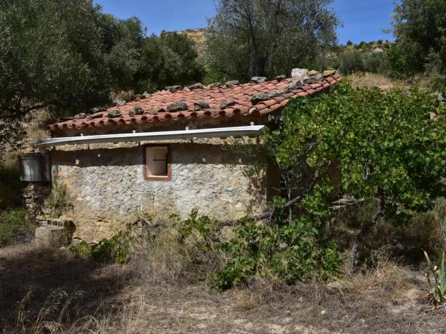 Finca en venta en Valdealgorfa Teruel