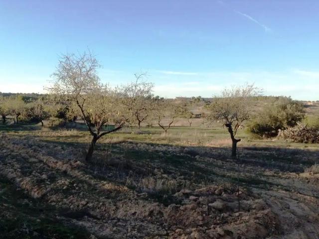 Finca en venta en Valderrobres Teruel