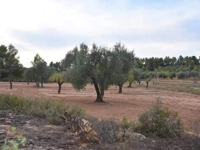 Finca en venta en Valderrobres Teruel