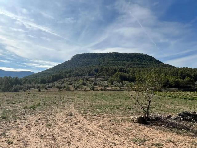 Finca en venta en Valderrobres Teruel