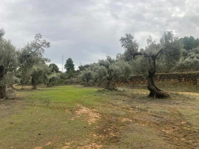 Finca en venta en Valderrobres Teruel