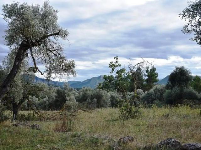 Finca en venta en Valderrobres Teruel