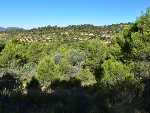 Finca en venta en Valderrobres Teruel