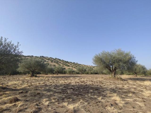 Finca en venta en Valencia de Alcántara Cáceres