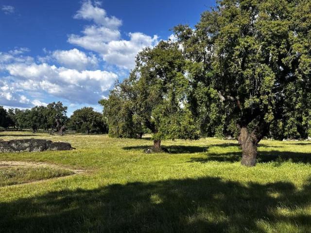 Finca en venta en Valencia de Alcántara Cáceres