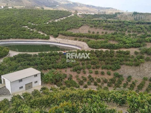 Finca en venta en Vélez Málaga Málaga