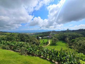 Finca En Venta En Yotoco En Vereda V330144