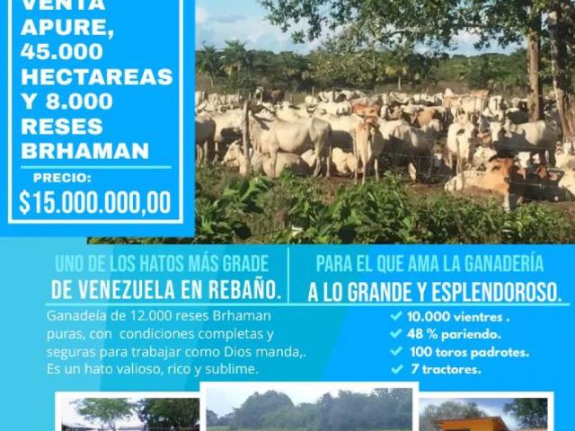 Finca en Venta en Achaguas San Juan de Payara Apure 32767 m2