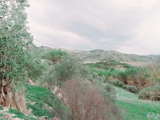 Finca en Venta en Alhama de Granada