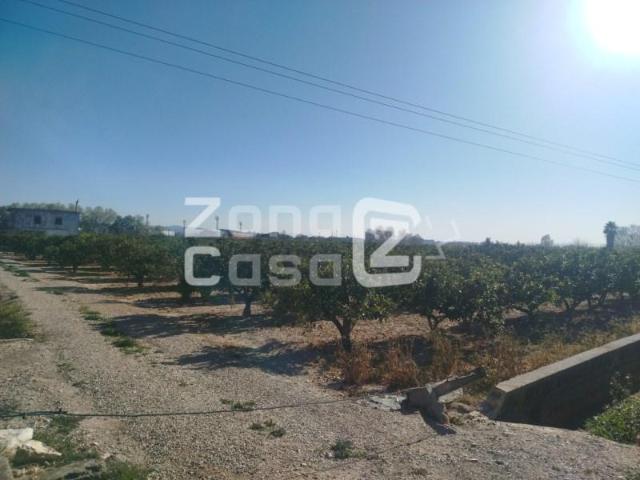 Finca en venta en Alzira Valencia