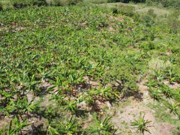 Finca En Venta En Anserma V114435