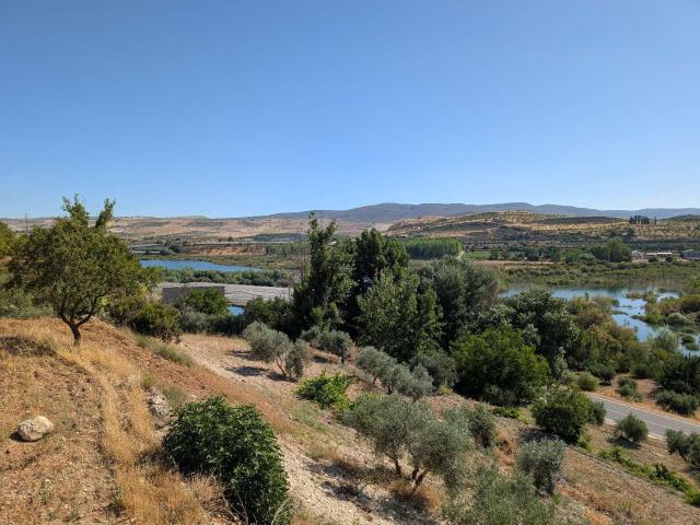 Finca en venta en Arenas del Rey Granada