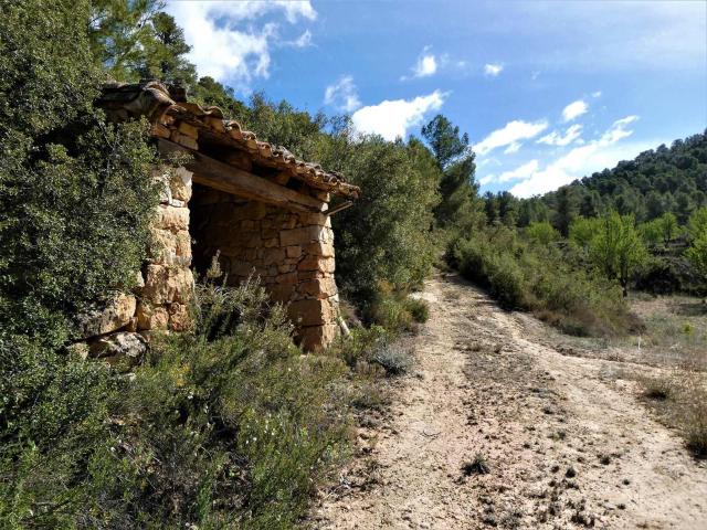 Finca en venta en Arens de Lledó Teruel