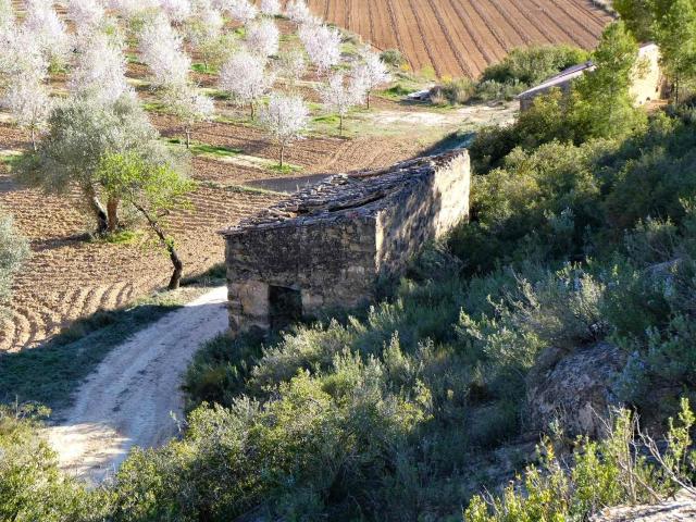Finca en venta en Batea Tarragona