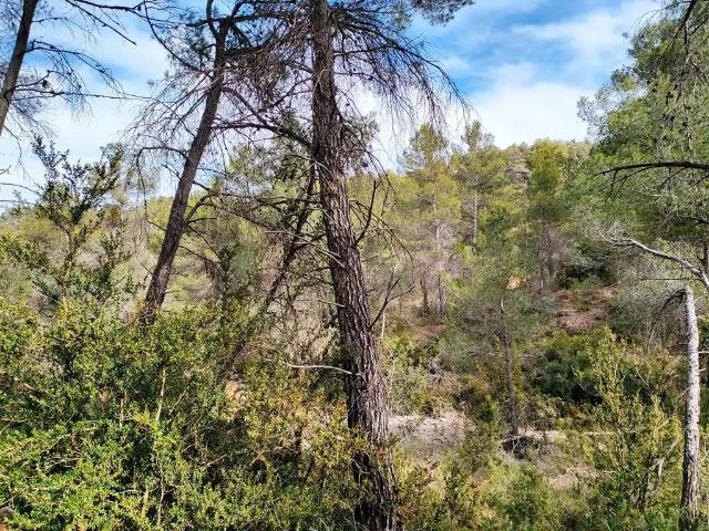 Finca en venta en Beceite Teruel
